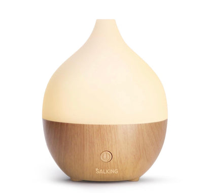 Electric Diffuser